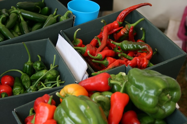  great dorset chilli festival