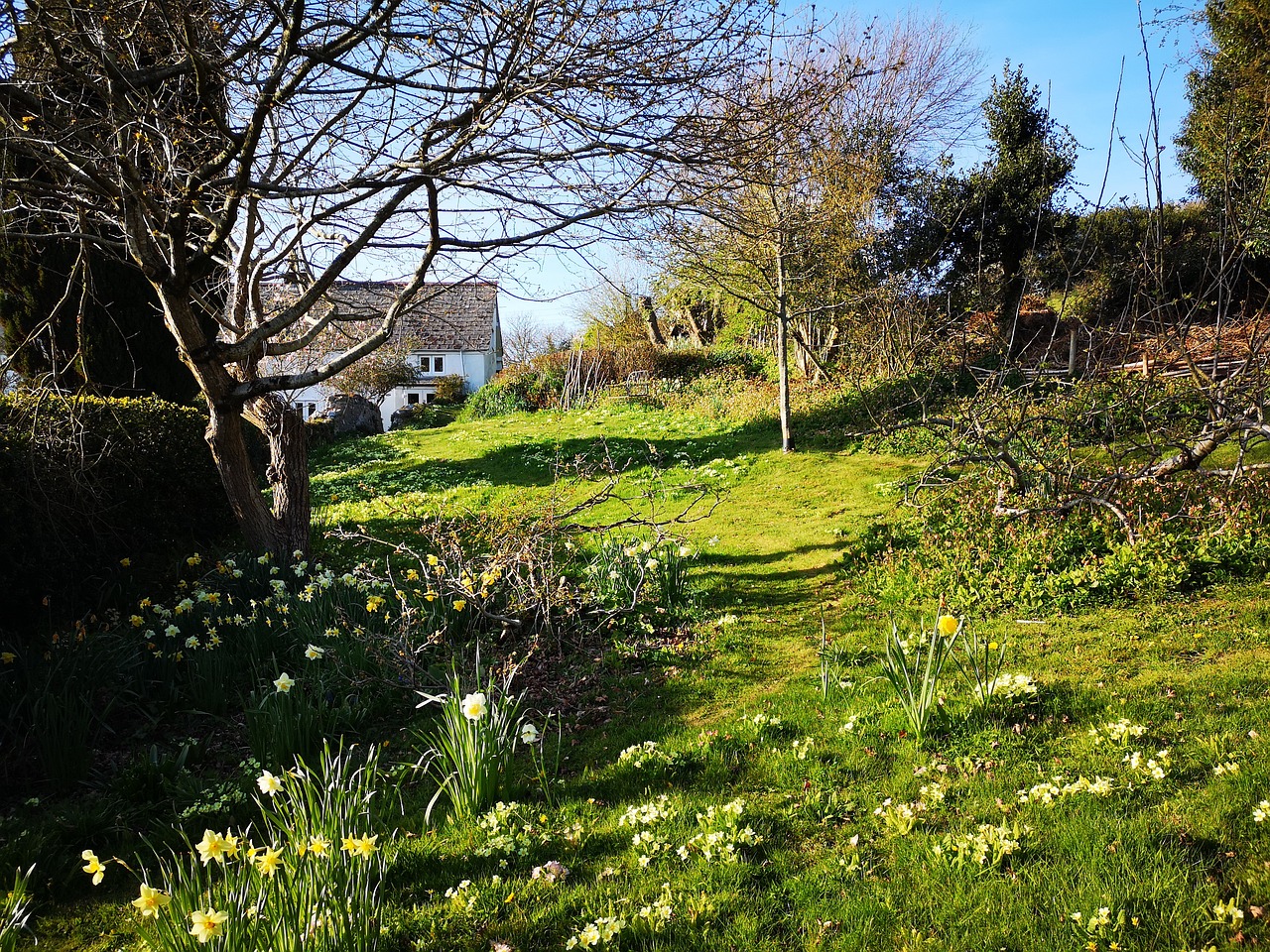 Cerne Abbas Open Gardens 2024