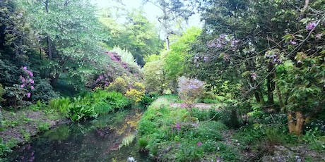 Minterne House Gardens near Giants Head Campsite