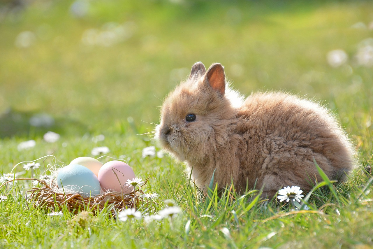 The Easter and May Holidays are Almost Here - Book your Stay Now!